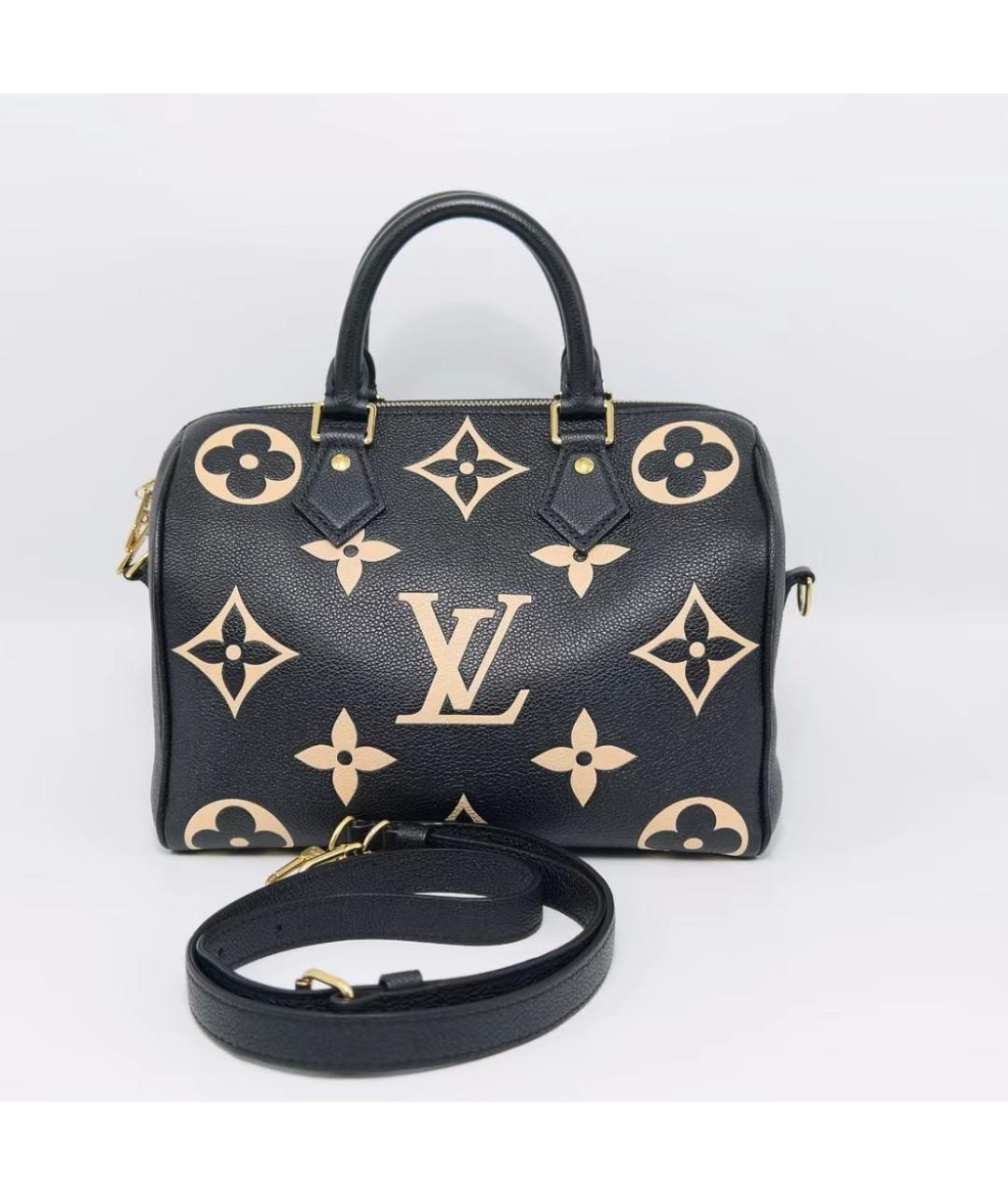 LOUIS VUITTON Сумка с короткими ручками, фото 2