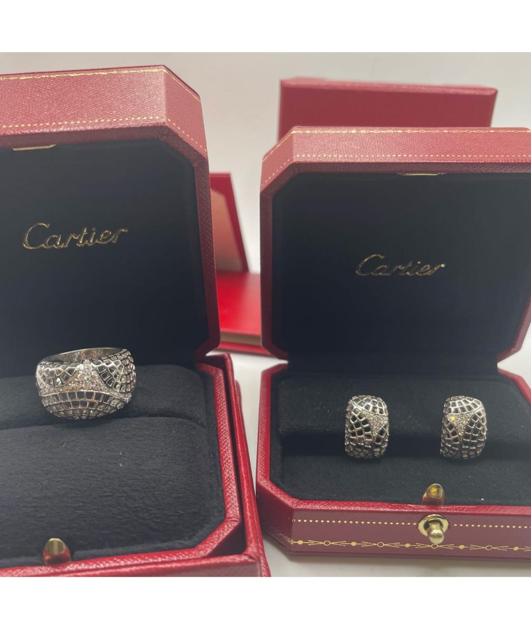 CARTIER Золотой комплект из белого золота, фото 2