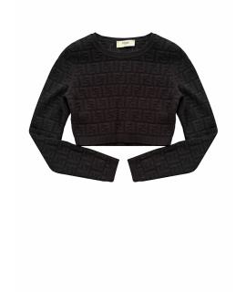 FENDI Джемпер / свитер