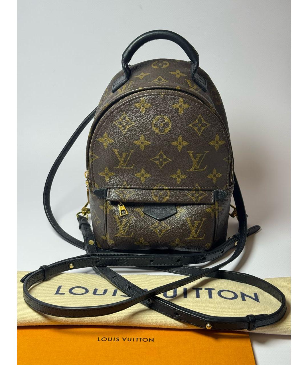 LOUIS VUITTON Коричневый рюкзак, фото 9