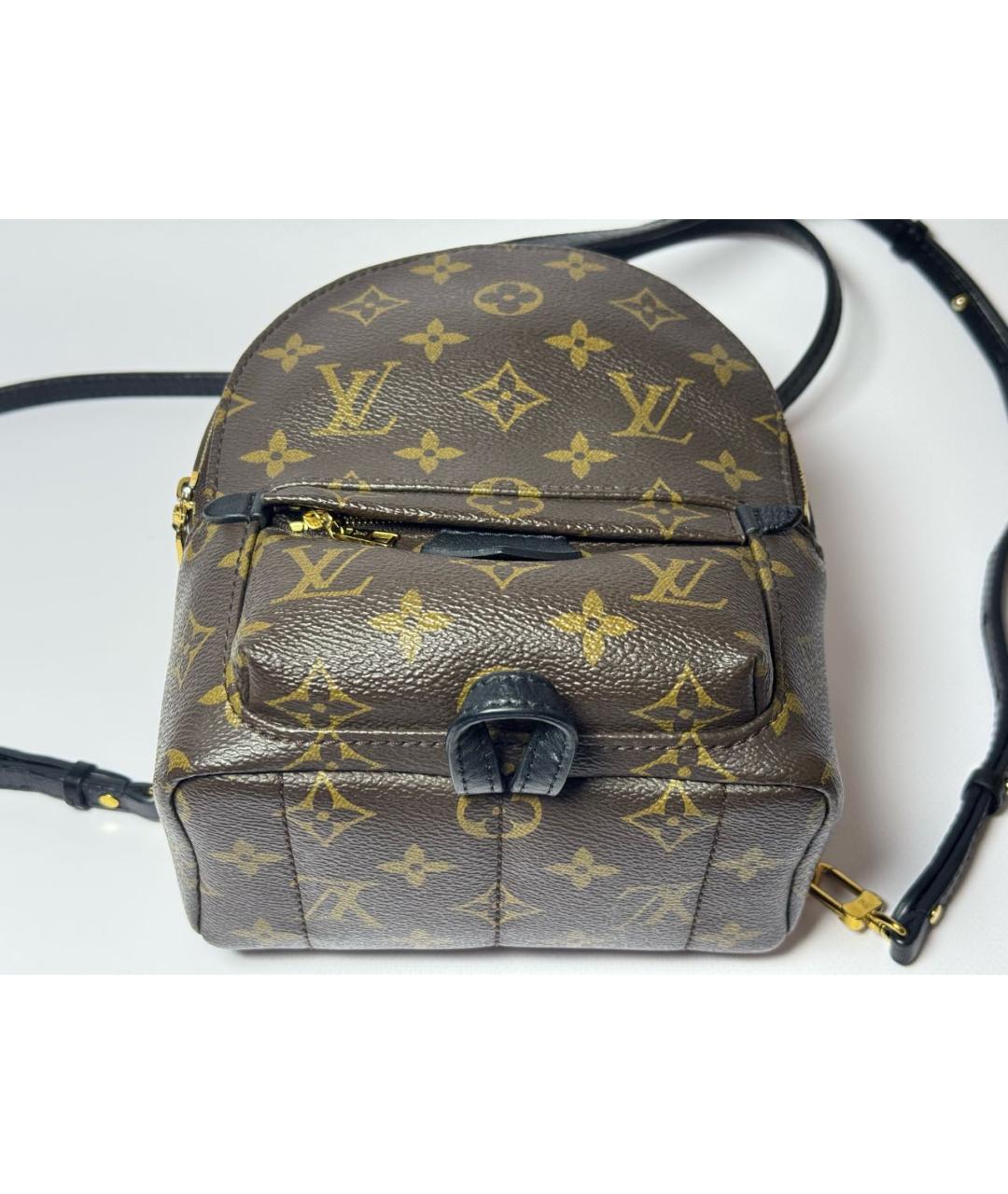 LOUIS VUITTON Коричневый рюкзак, фото 6