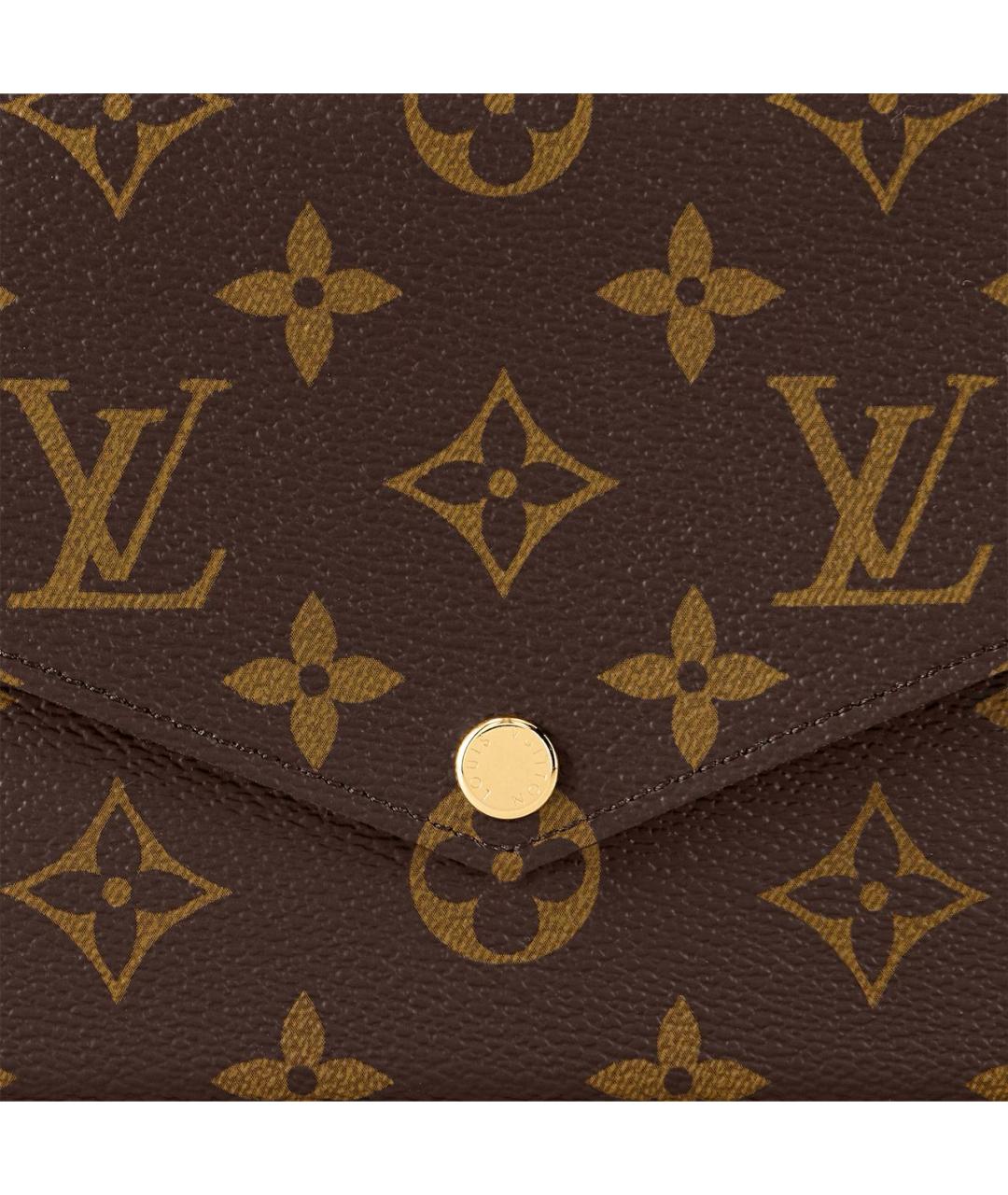 LOUIS VUITTON Коричневая сумка через плечо, фото 5