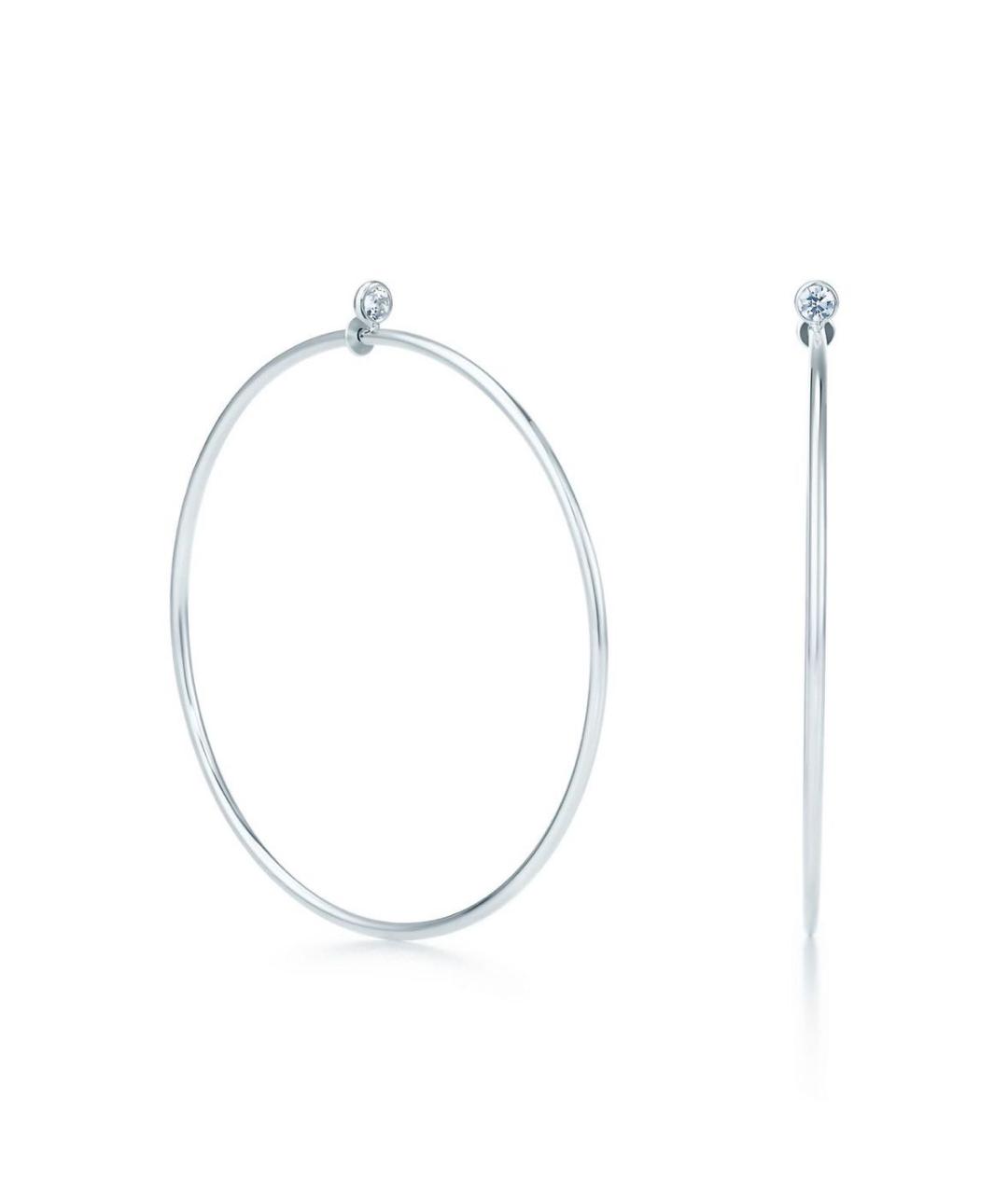 TIFFANY&CO Серебряные серебряные серьги, фото 3