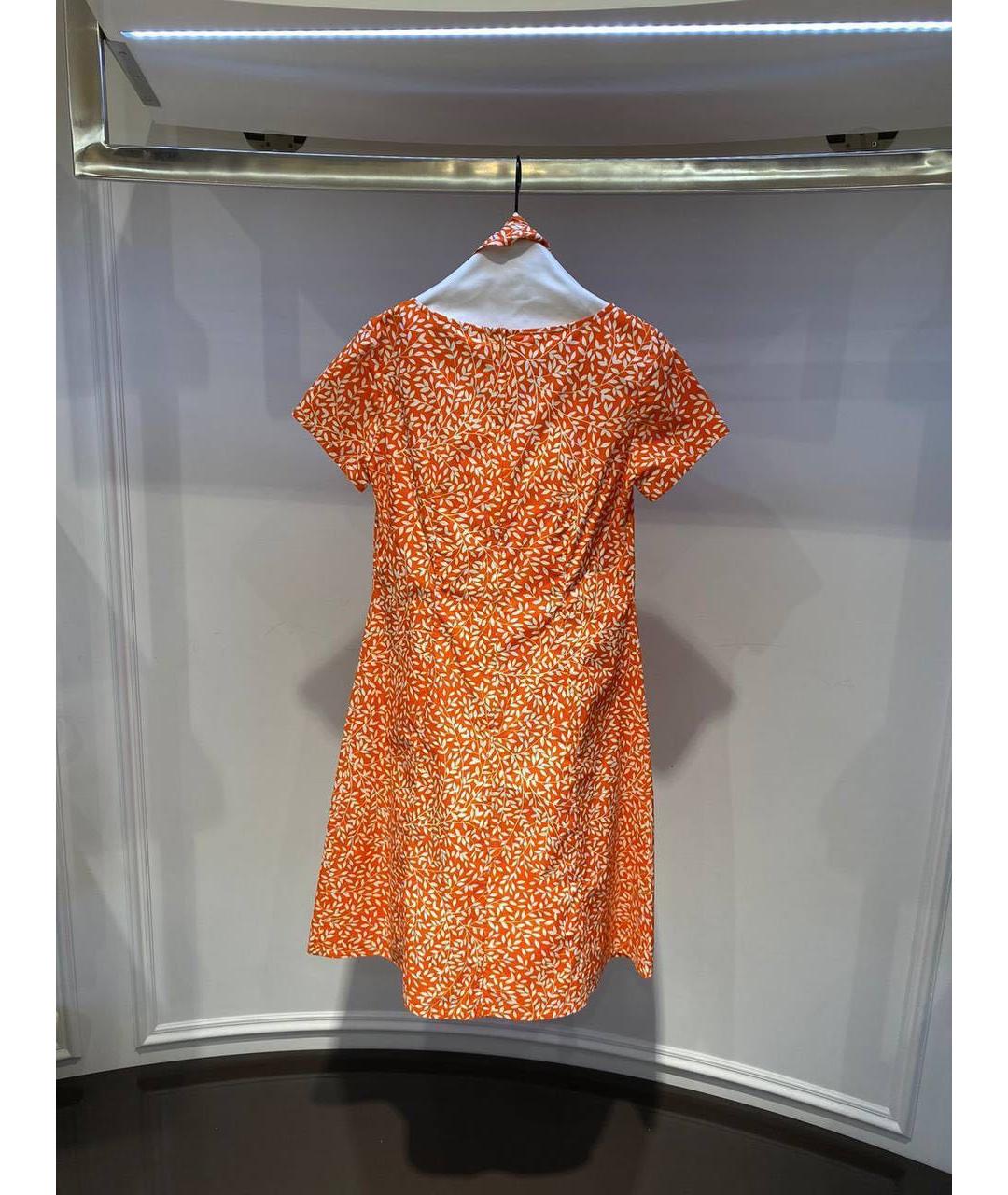 ALEXANDER TEREKHOV Мульти повседневное платье, фото 2