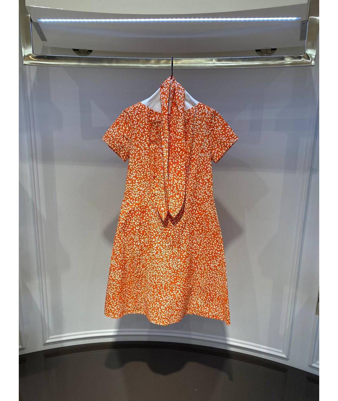 ALEXANDER TEREKHOV Мульти повседневное платье, фото 4