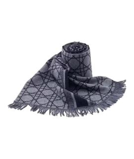 CHRISTIAN DIOR Шарф