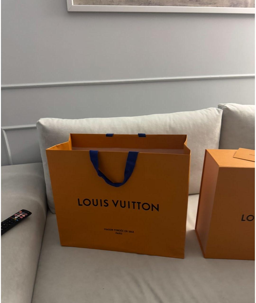 LOUIS VUITTON Бежевая кожаная сумка тоут, фото 4