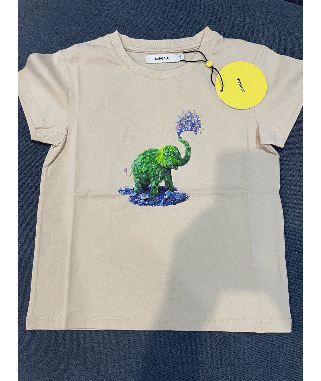 THE PANGAIA Бежевый хлопковый детская футболка / топ, фото 5
