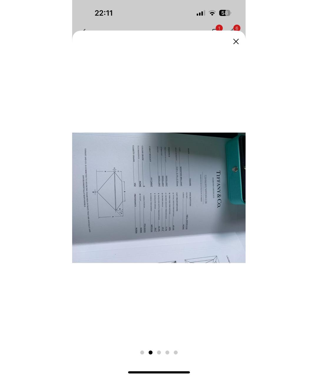 TIFFANY&CO Белые серьги из белого золота, фото 6