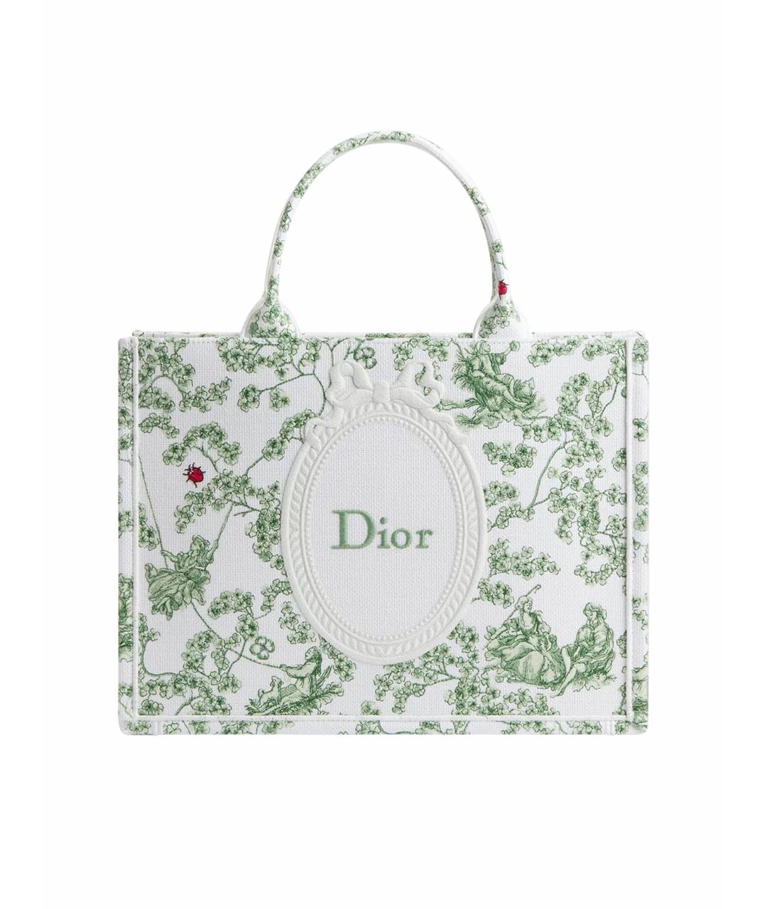 CHRISTIAN DIOR Зеленая сумка тоут, фото 1