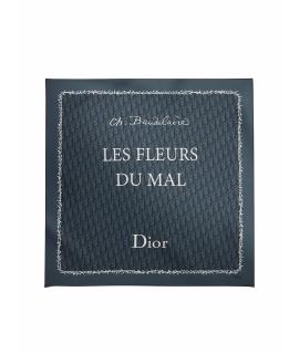 CHRISTIAN DIOR Платок