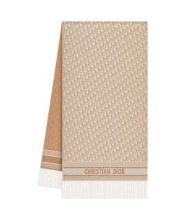 CHRISTIAN DIOR Шарф