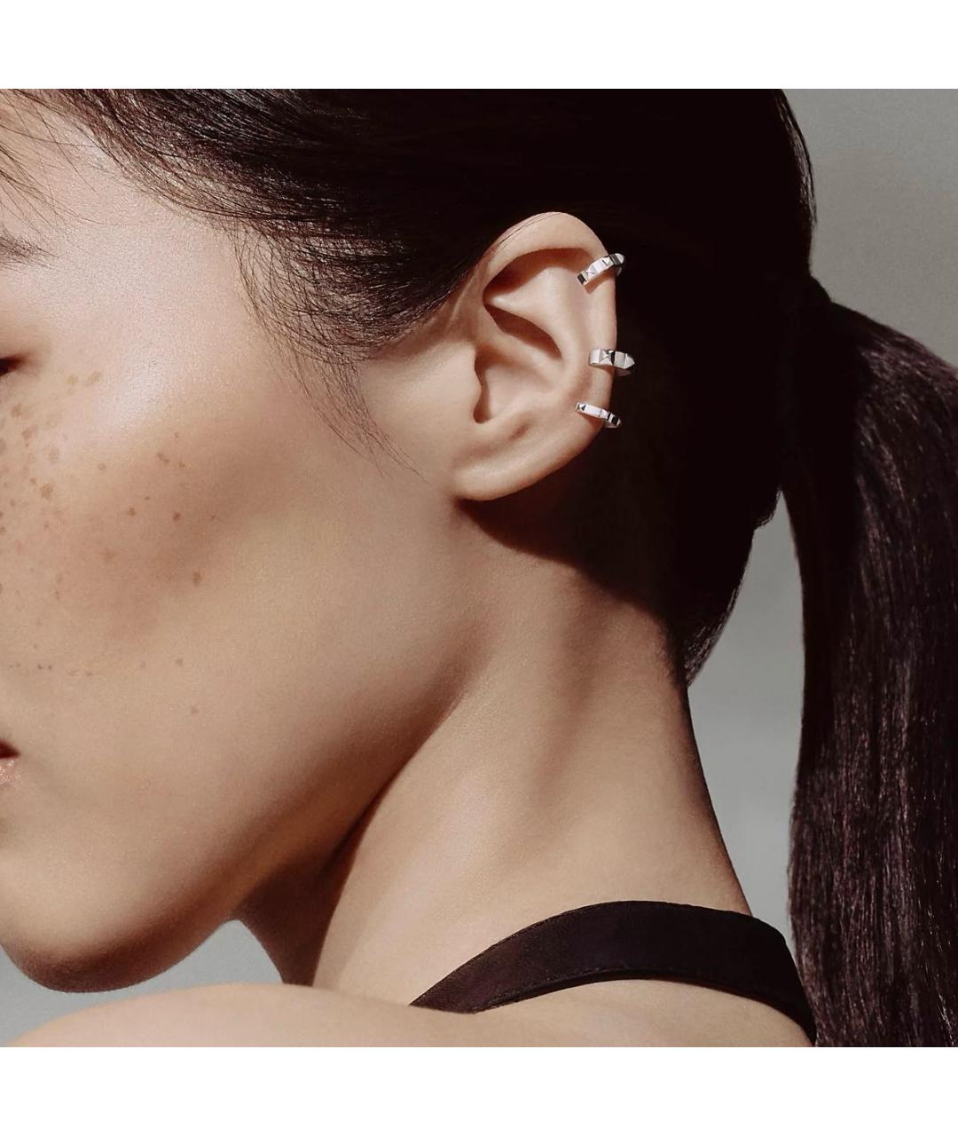 HERMES Серебряные серебряные серьги, фото 2