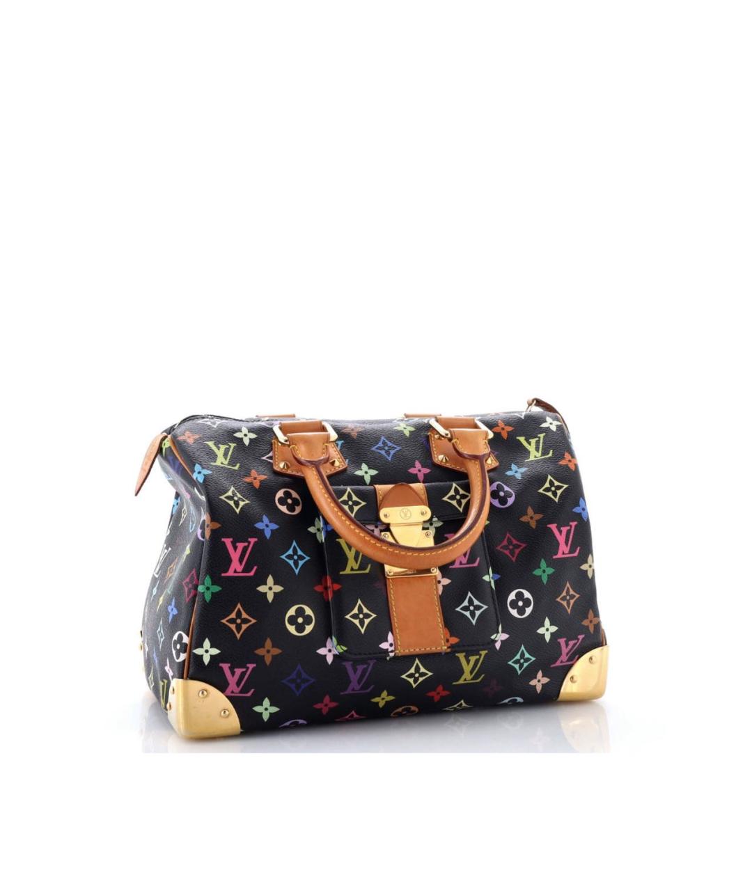 LOUIS VUITTON Мульти кожаная сумка с короткими ручками, фото 2