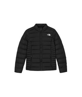 THE NORTH FACE Пуховик