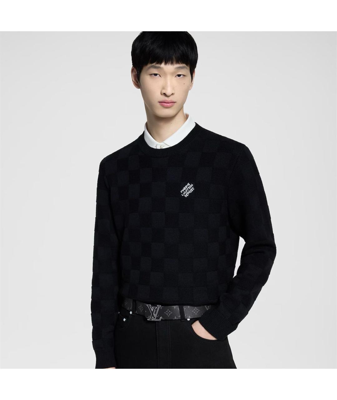 LOUIS VUITTON Мульти ремень, фото 2