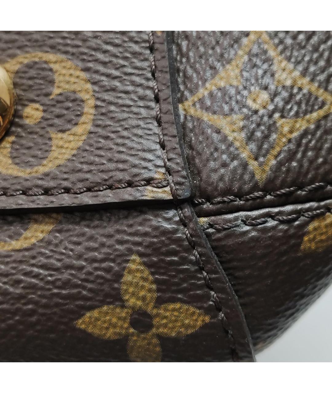 LOUIS VUITTON Коричневая сумка тоут, фото 8