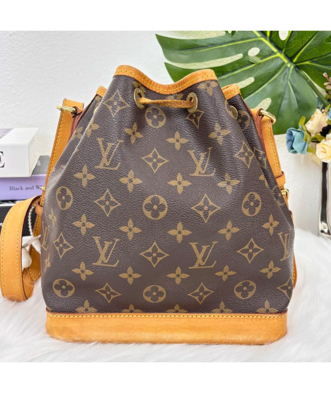 LOUIS VUITTON Коричневая кожаная сумка тоут, фото 2