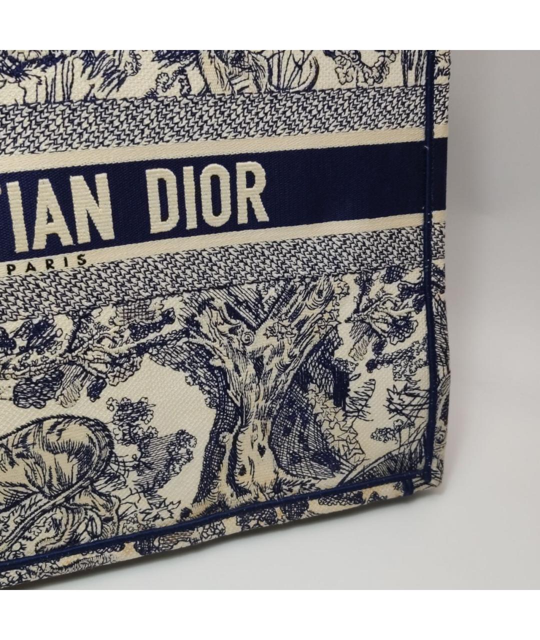 CHRISTIAN DIOR Бежевая сумка тоут, фото 8