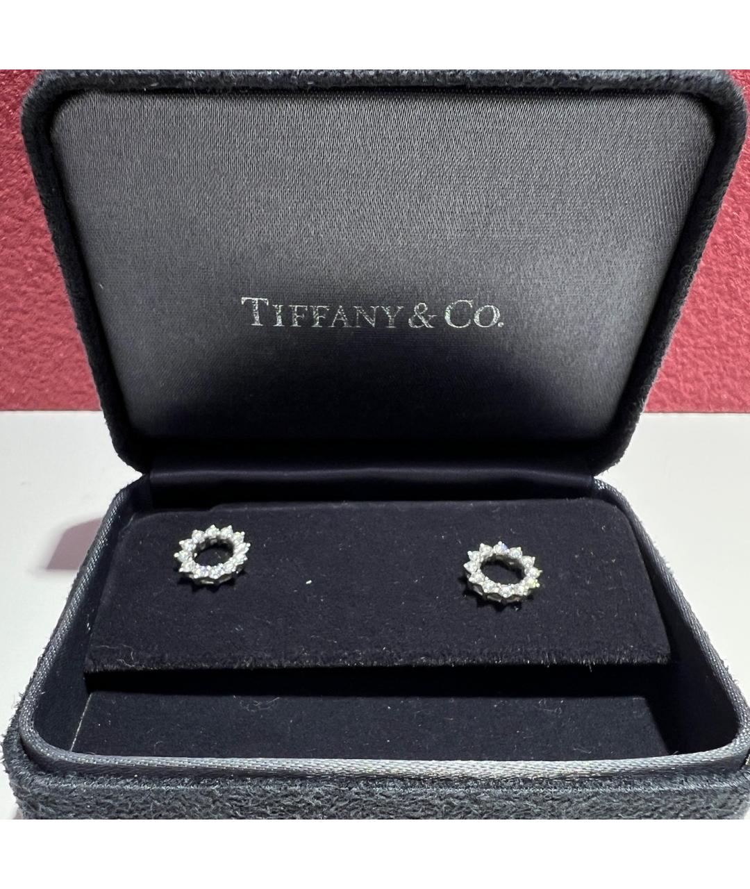 TIFFANY&CO Серебряные платиновые серьги, фото 2