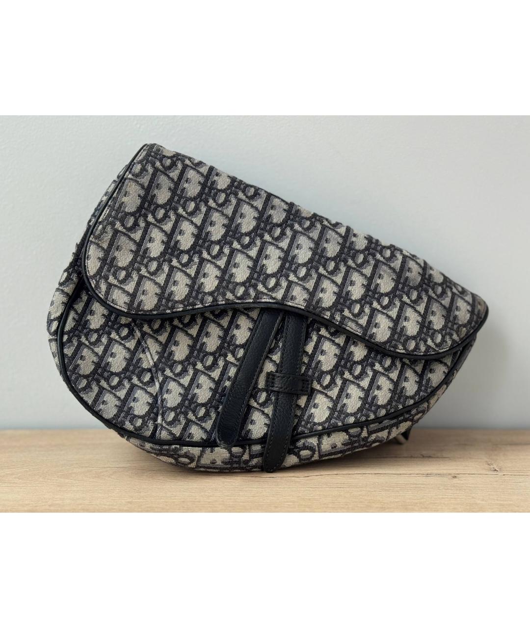 CHRISTIAN DIOR Бежевая деним поясная сумка, фото 2