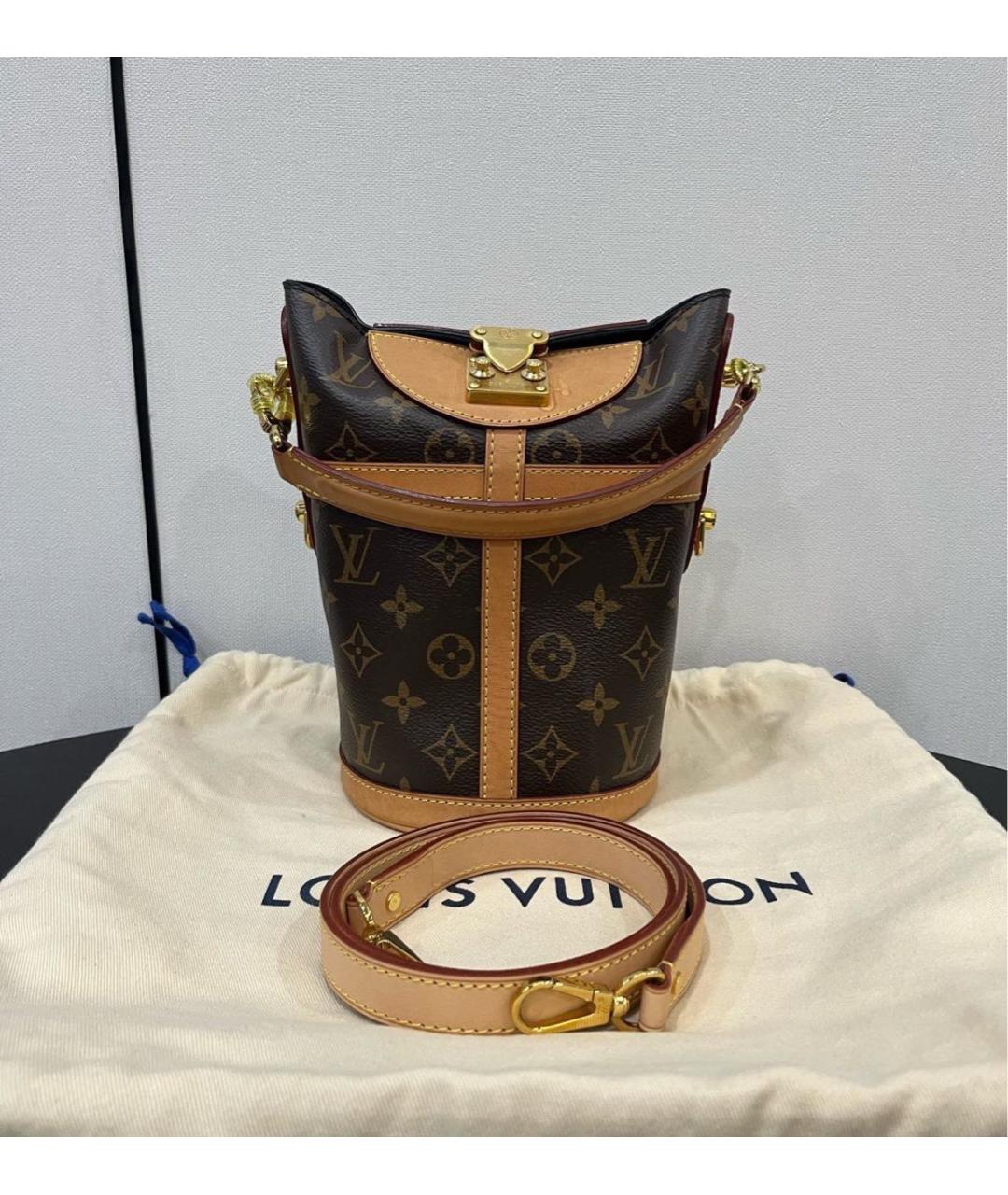 LOUIS VUITTON Коричневая сумка тоут, фото 2