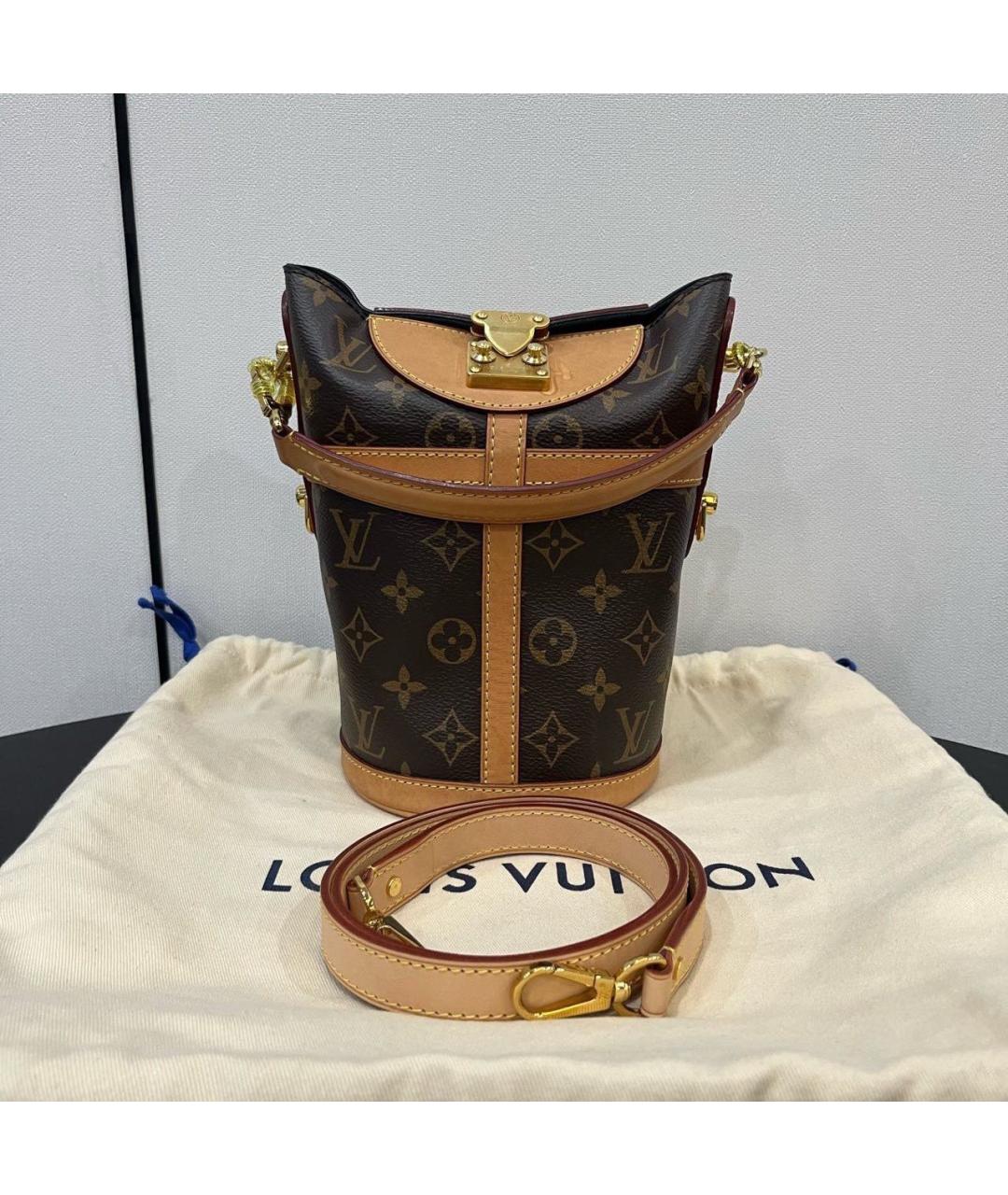 LOUIS VUITTON Коричневая сумка тоут, фото 8
