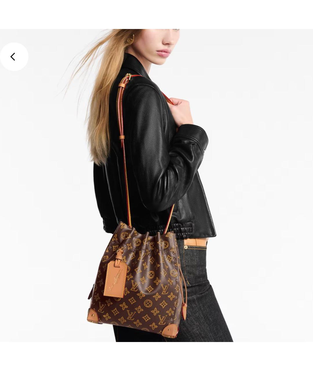 LOUIS VUITTON Коричневая сумка тоут, фото 3