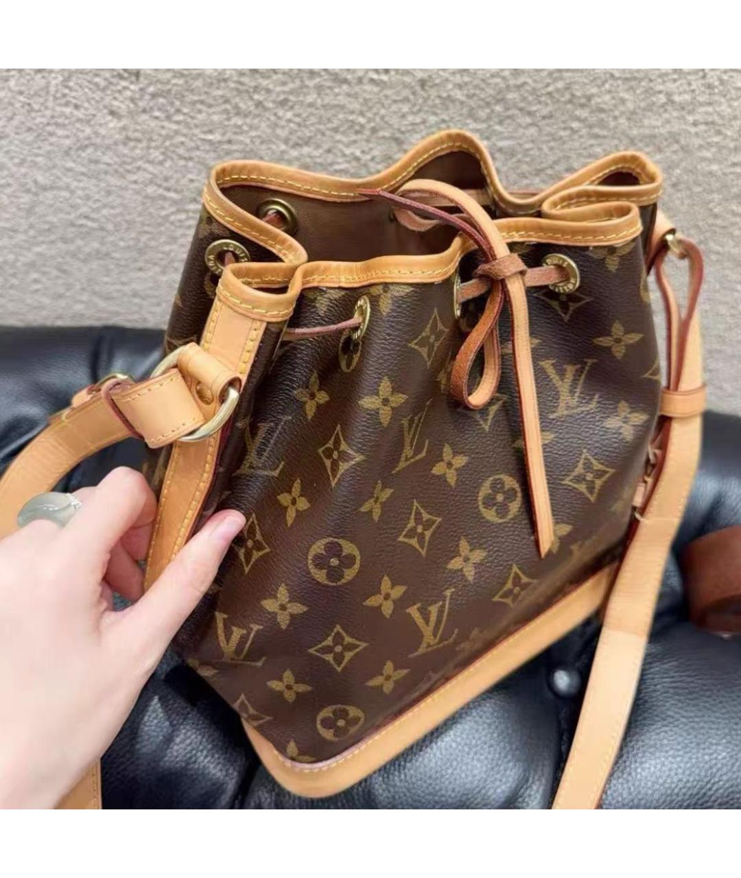 LOUIS VUITTON Коричневая кожаная сумка тоут, фото 2