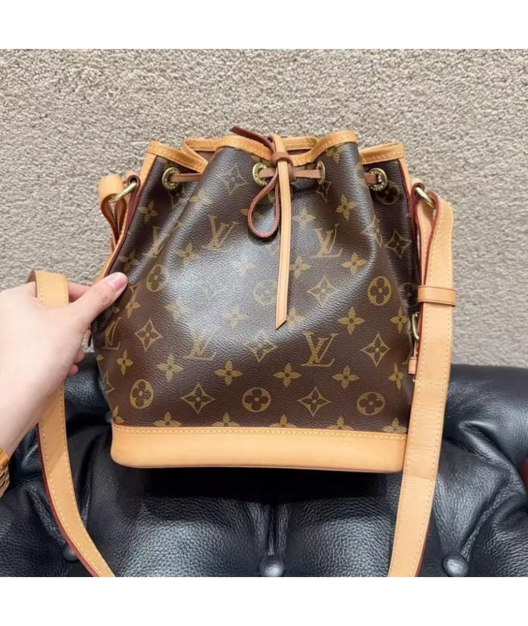 LOUIS VUITTON Коричневая кожаная сумка тоут, фото 7