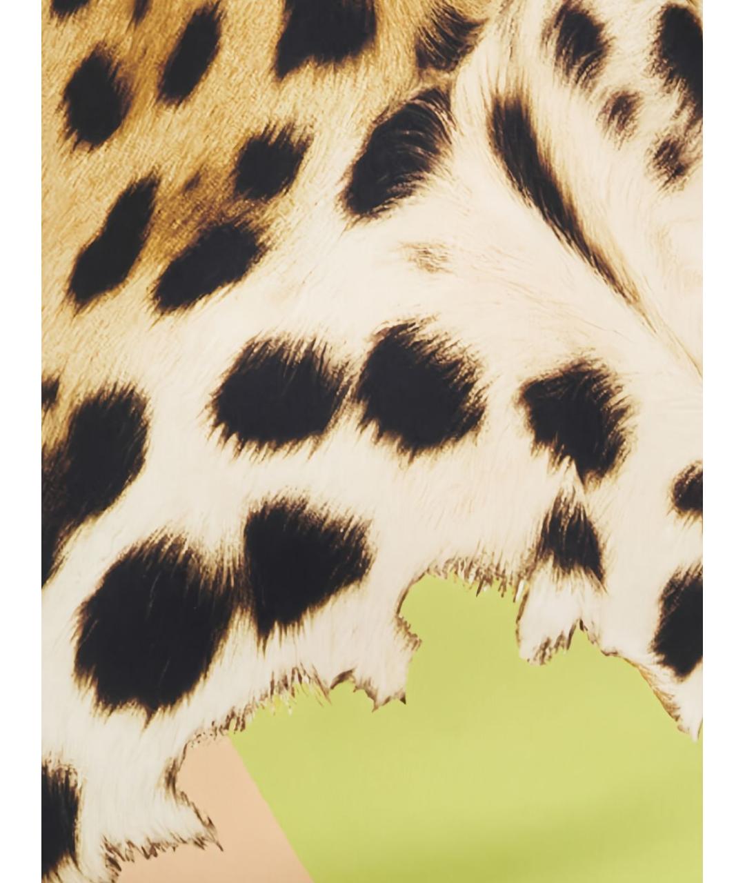 ROBERTO CAVALLI Зеленые вечернее платье, фото 2