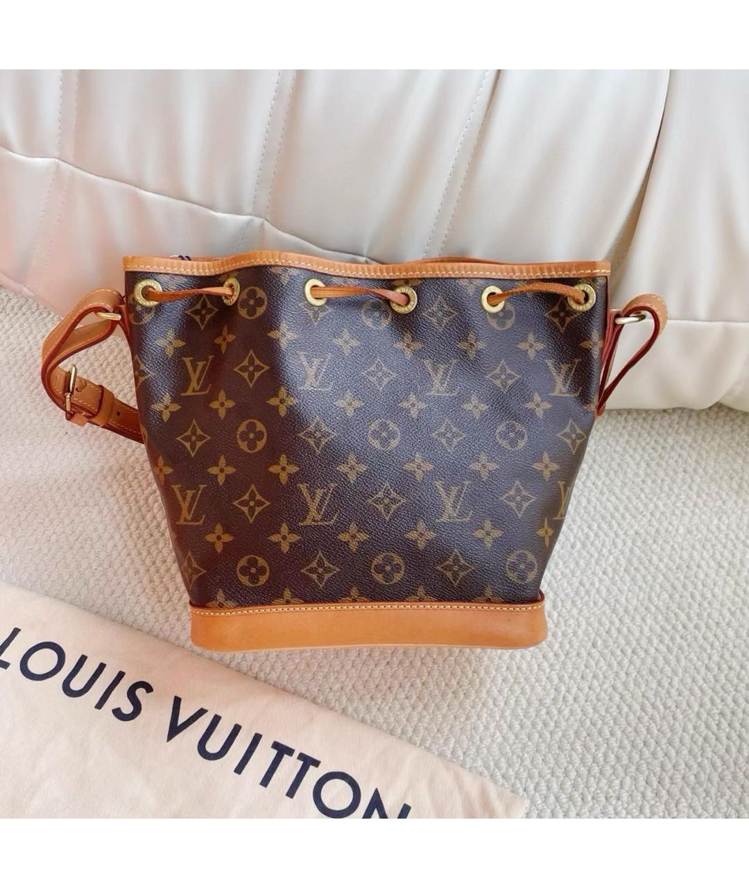 LOUIS VUITTON Коричневая кожаная сумка тоут, фото 4