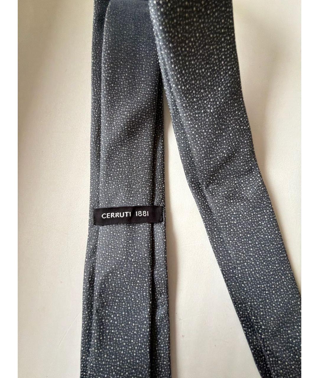 CERRUTI 1881 Серебрянный тканевый галстук, фото 3