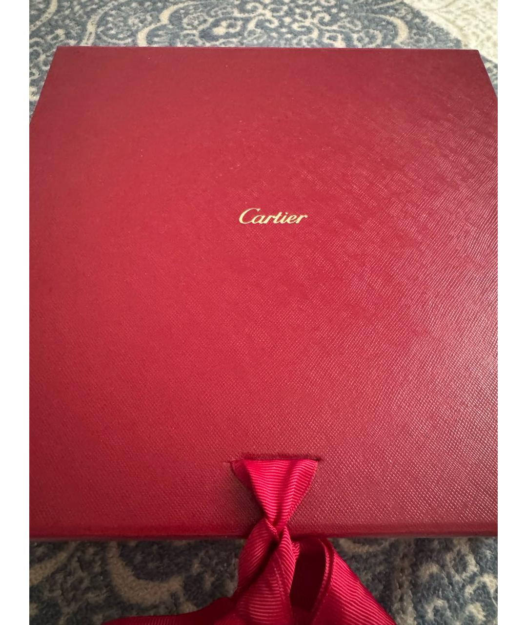 CARTIER Зеленая кожаная сумка через плечо, фото 8