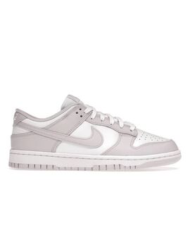 Низкие кроссовки / кеды NIKE Nike Dunk Low Venice (W)