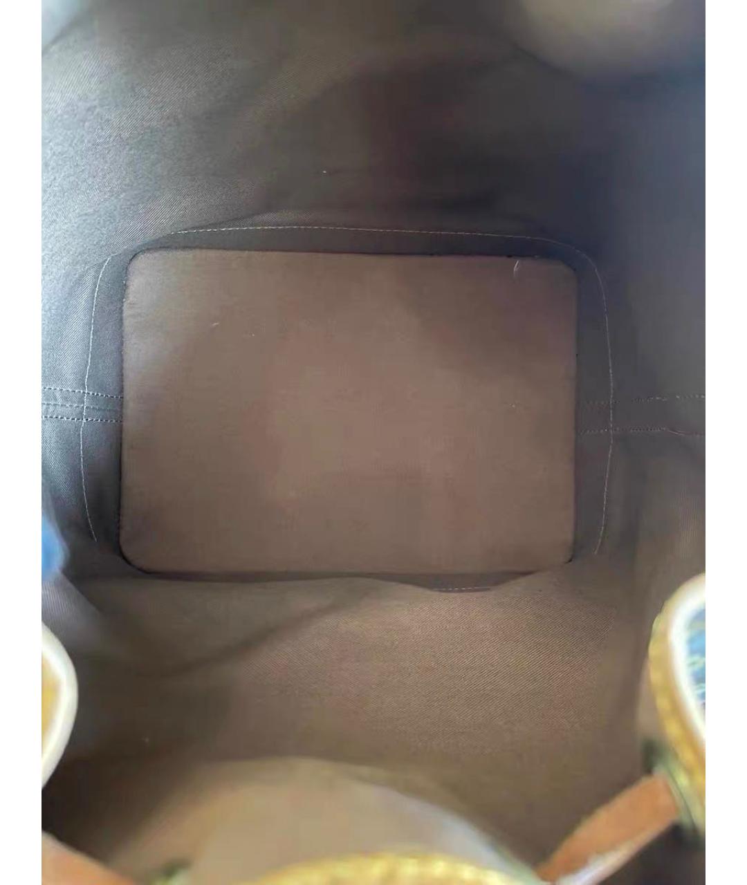 LOUIS VUITTON Коричневая сумка тоут, фото 8