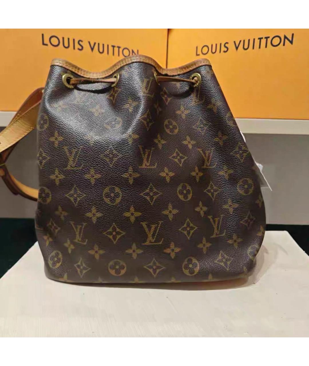 LOUIS VUITTON Коричневая сумка тоут, фото 3