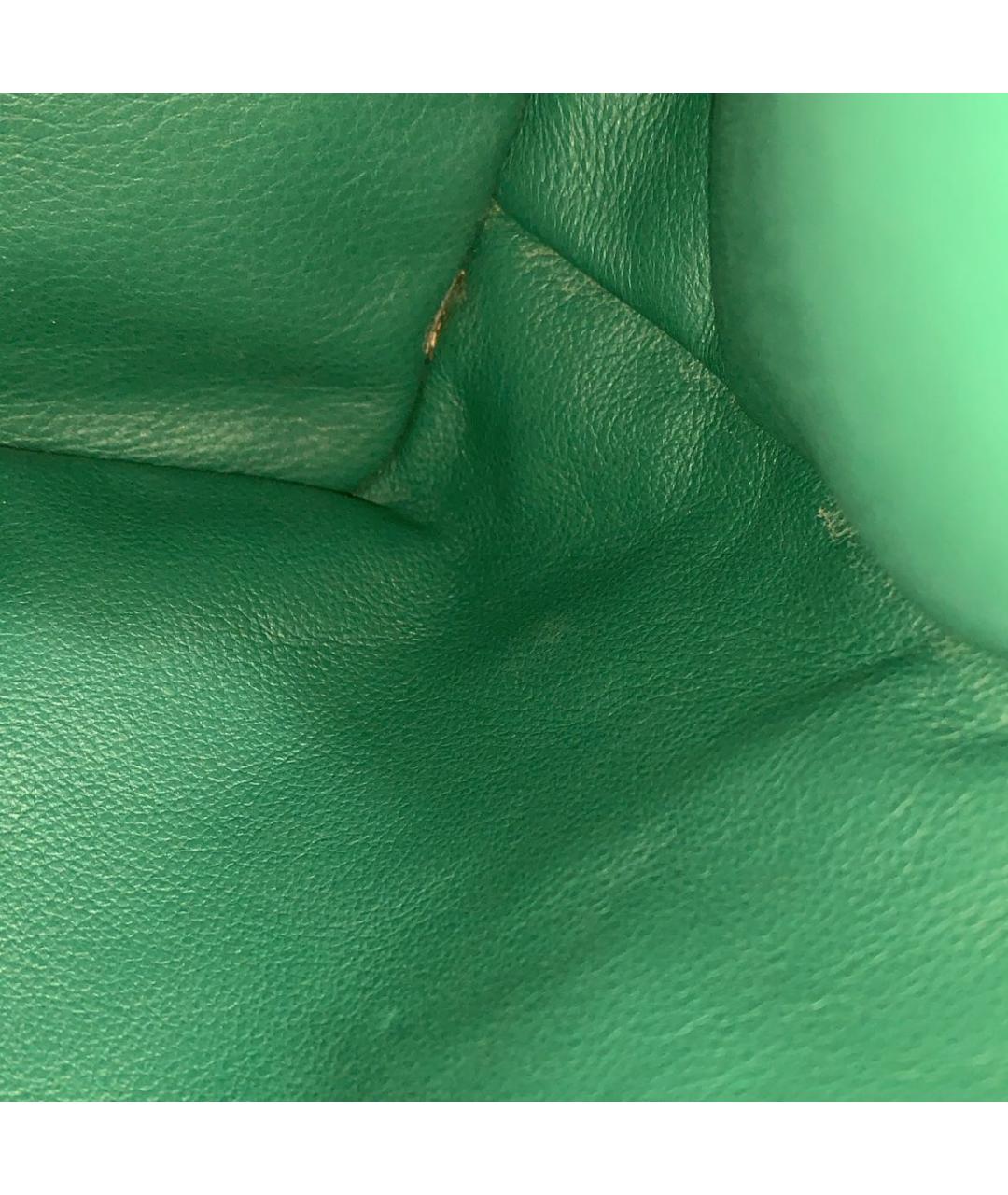 GOYARD Зеленая сумка тоут, фото 7