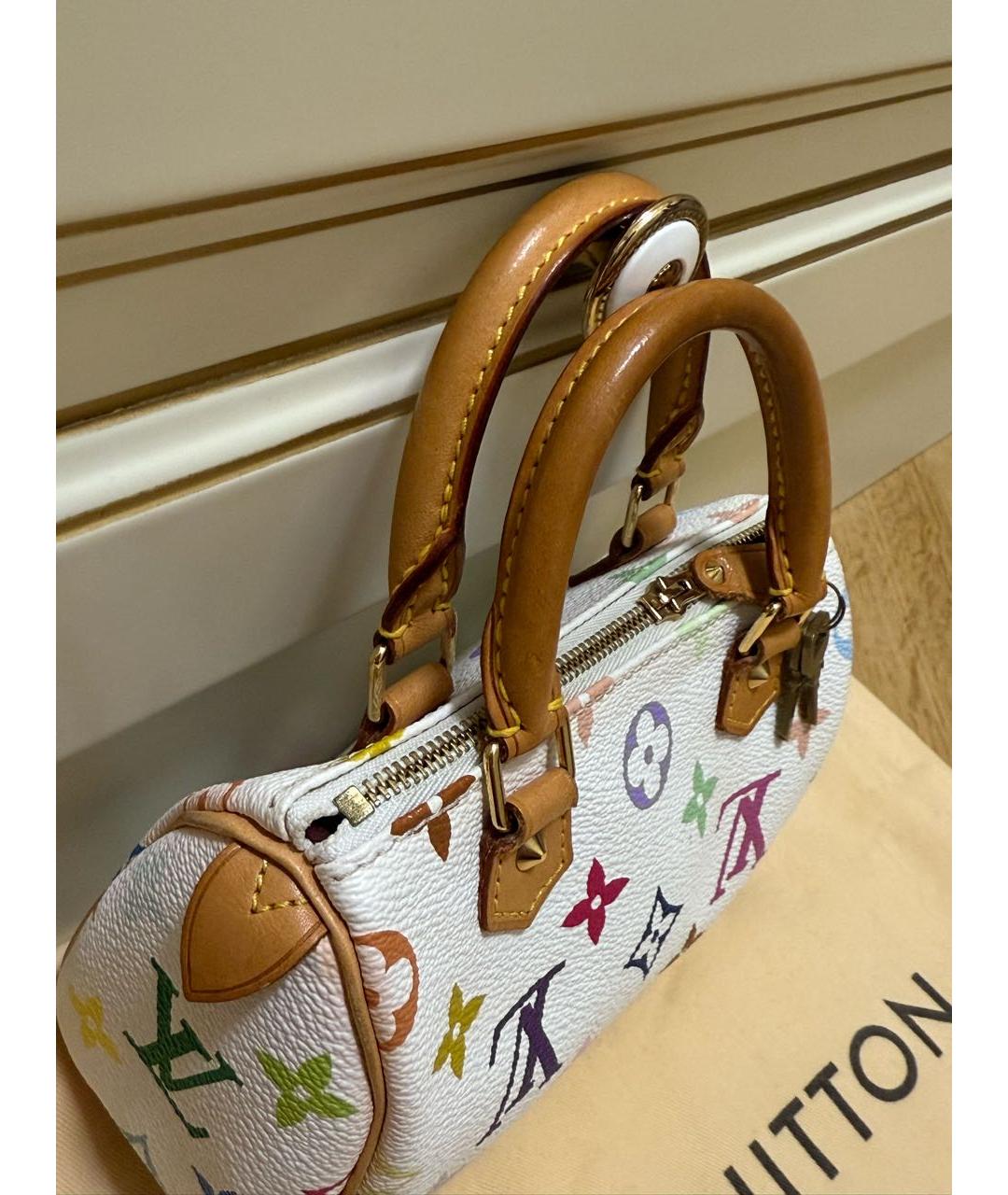 LOUIS VUITTON Мульти кожаная сумка с короткими ручками, фото 2
