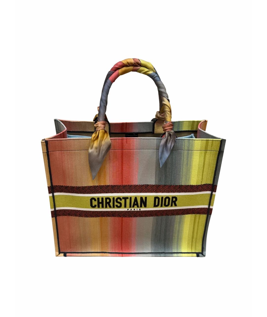 CHRISTIAN DIOR Мульти тканевая сумка тоут, фото 1