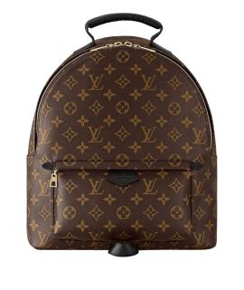 LOUIS VUITTON Рюкзак