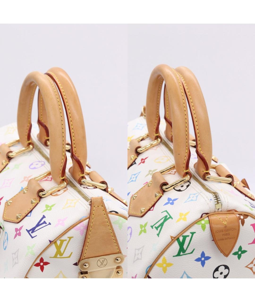 LOUIS VUITTON Мульти сумка с короткими ручками, фото 4