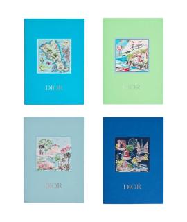 CHRISTIAN DIOR Книга