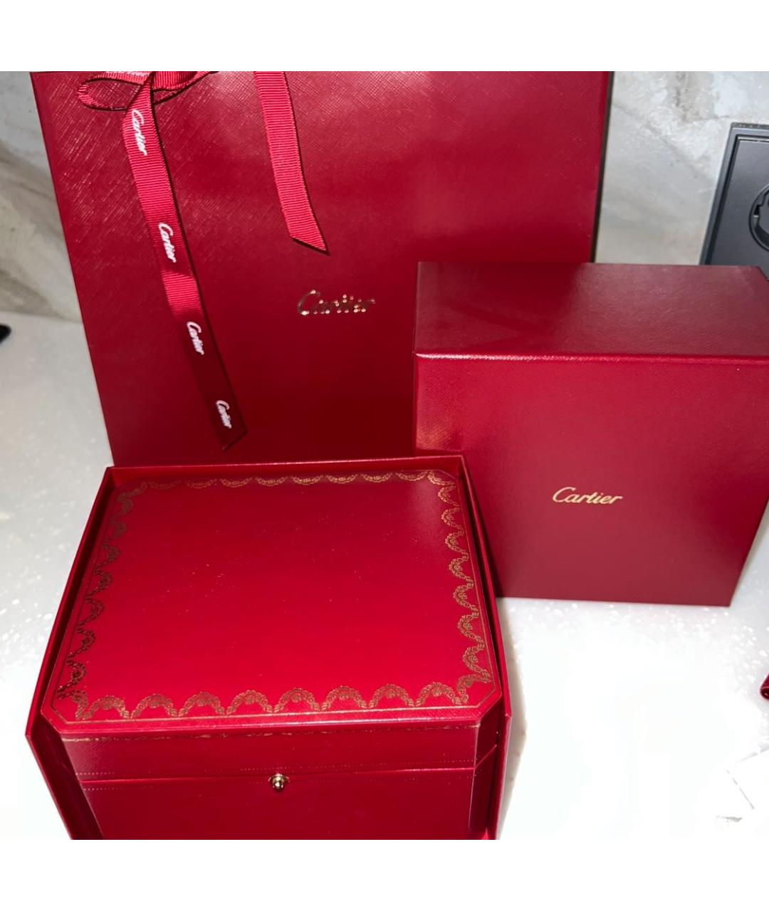 CARTIER Серебряные часы, фото 4