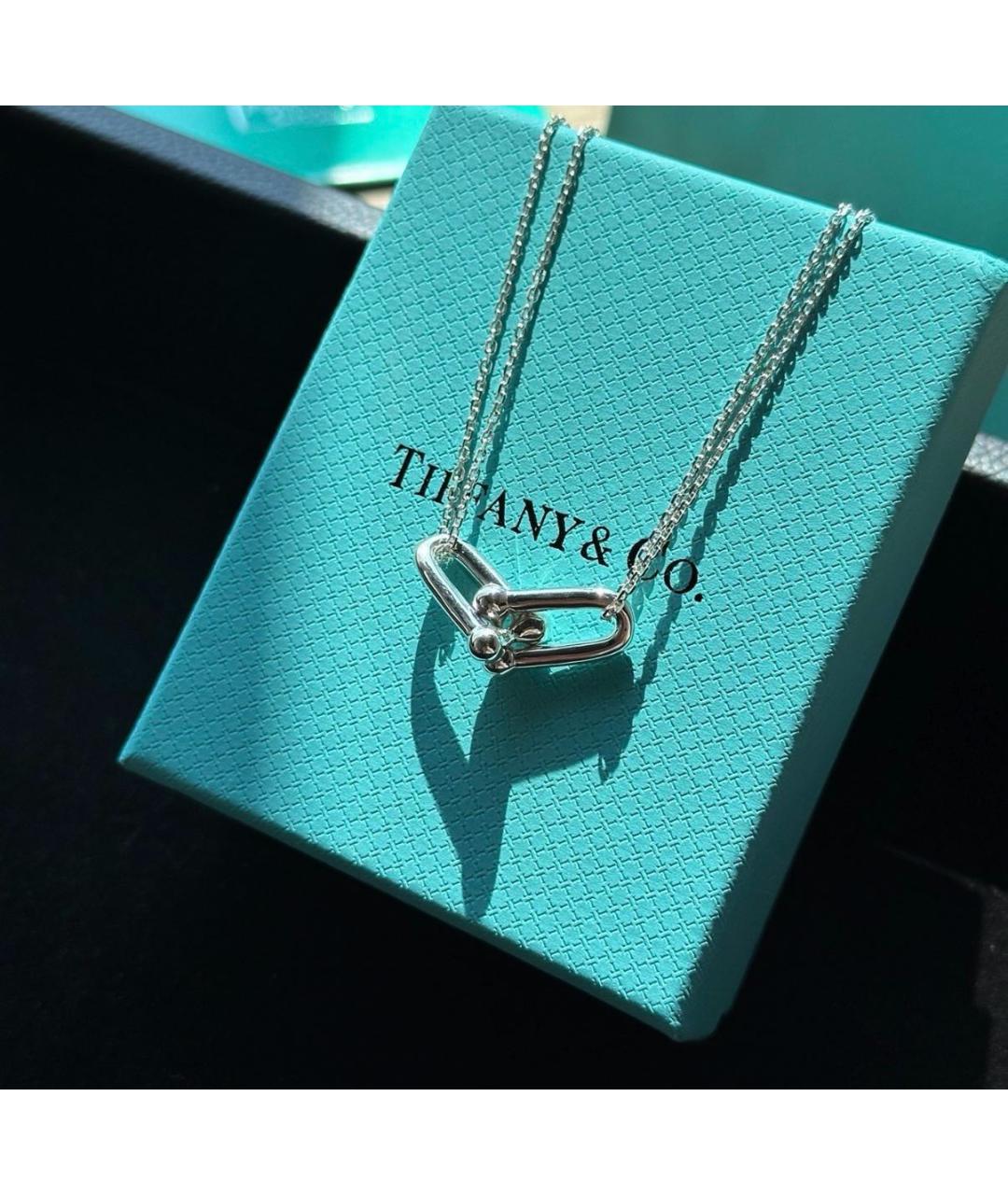 TIFFANY&CO Серебряное серебряное колье, фото 2