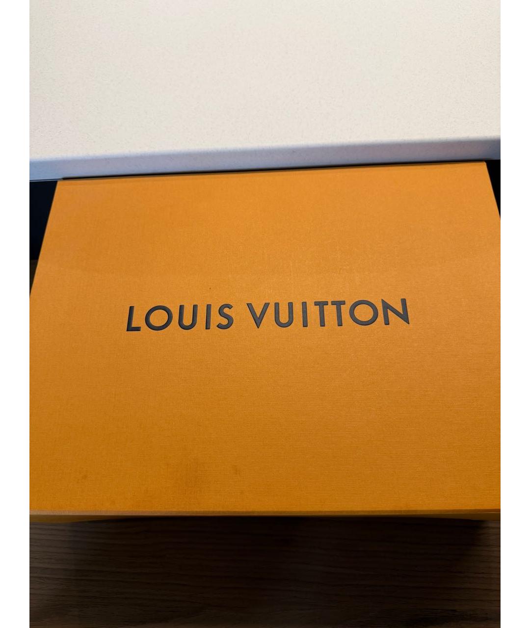 LOUIS VUITTON Черные кроссовки, фото 6