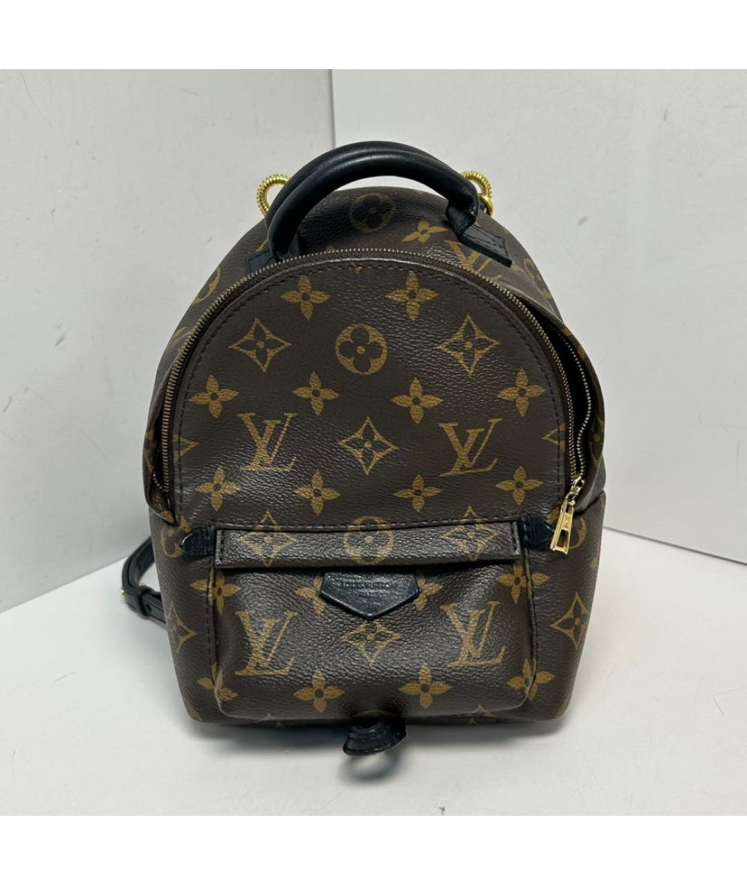 LOUIS VUITTON Коричневый рюкзак, фото 9