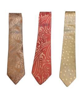 PAL ZILERI Галстук