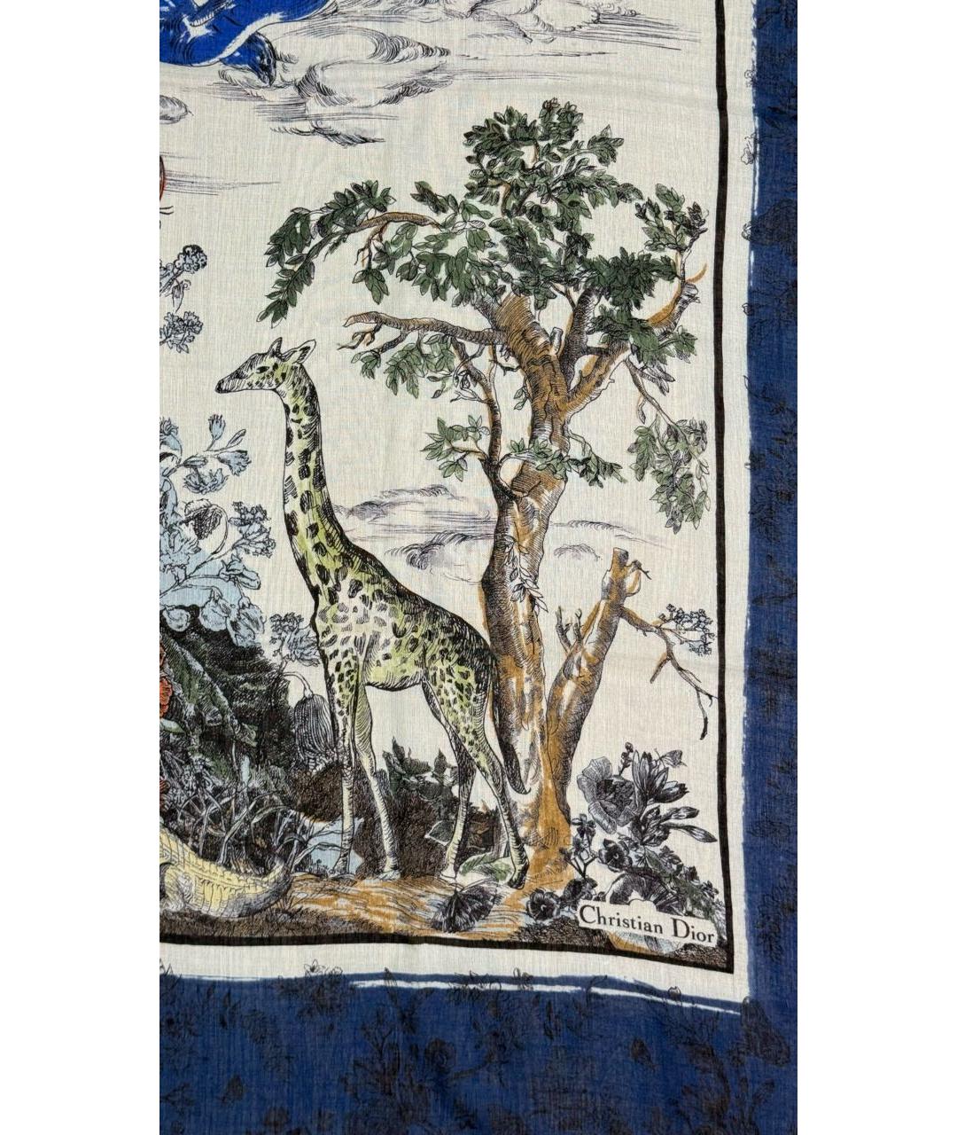 CHRISTIAN DIOR Мульти кашемировый платок, фото 2