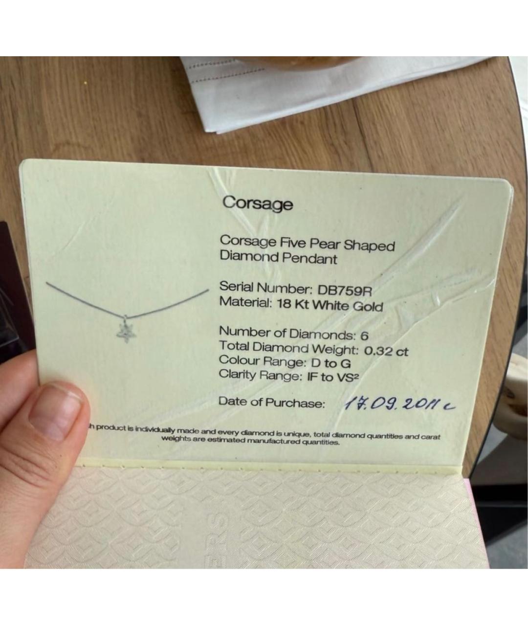 DE BEERS Серебряная подвеска из белого золота, фото 6